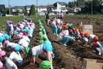 おいも掘り1.jpg