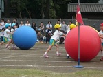 大玉ころがし.jpg