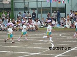 年少かけっこ.jpg